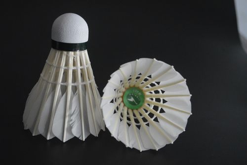 的一大优势 的一大优势